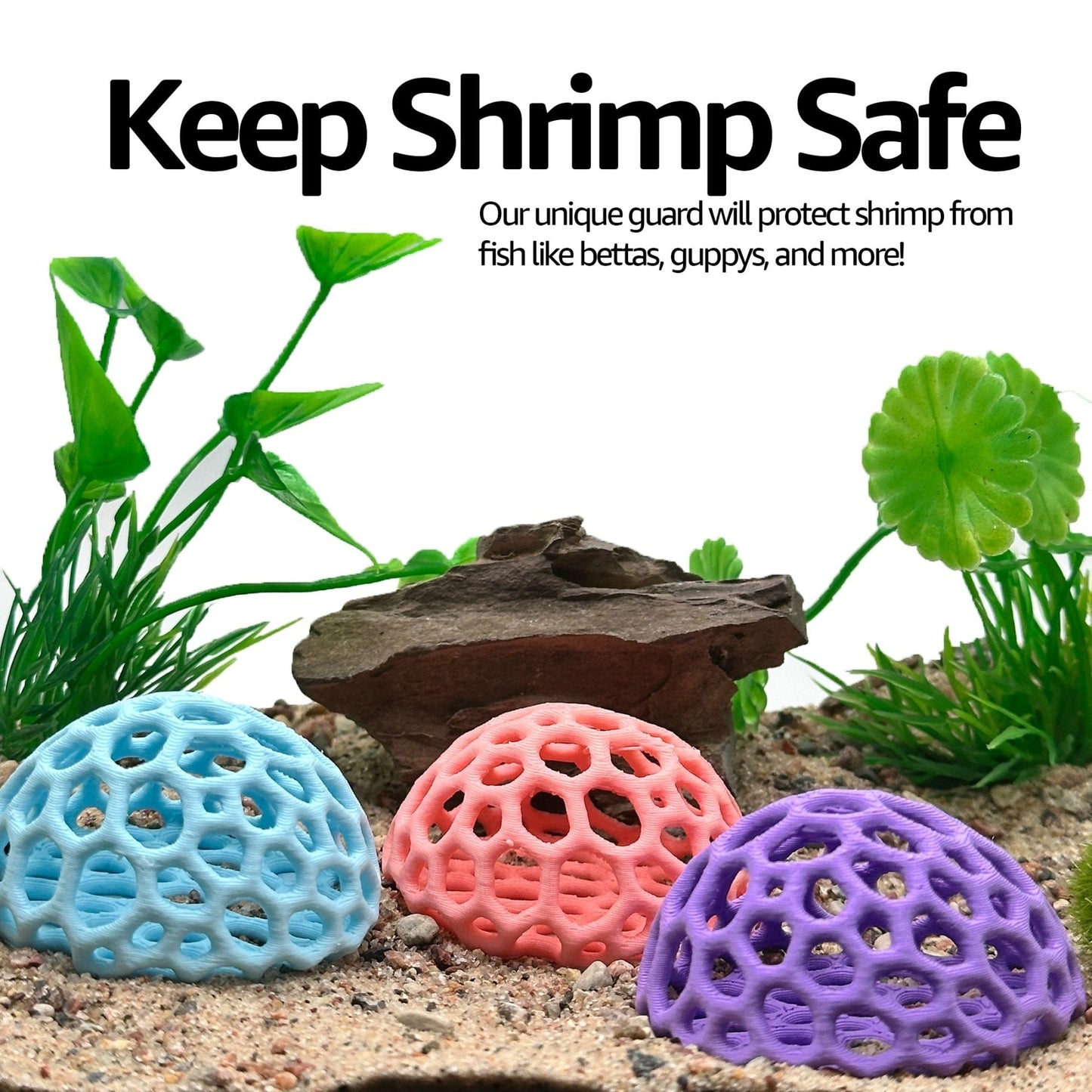Shrimp Dome Hide – Colorful Aquarium Cave - Wild Pet Supply