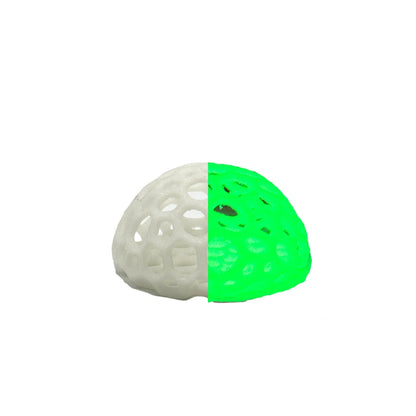 Shrimp Dome Hide – Colorful Aquarium Cave - Wild Pet Supply