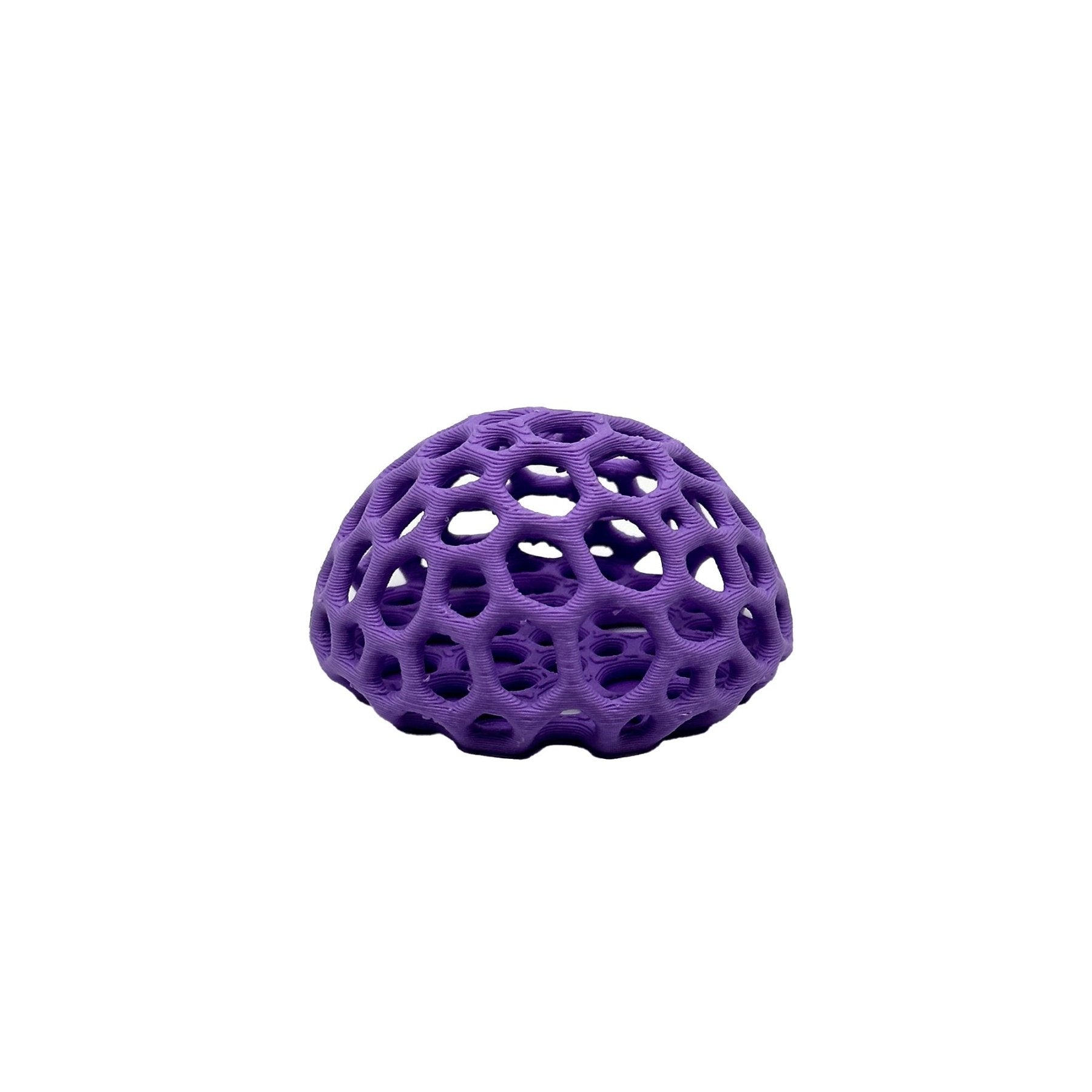 Shrimp Dome Hide – Colorful Aquarium Cave - Wild Pet Supply