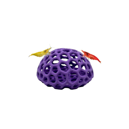 Shrimp Dome Hide – Colorful Aquarium Cave - Wild Pet Supply