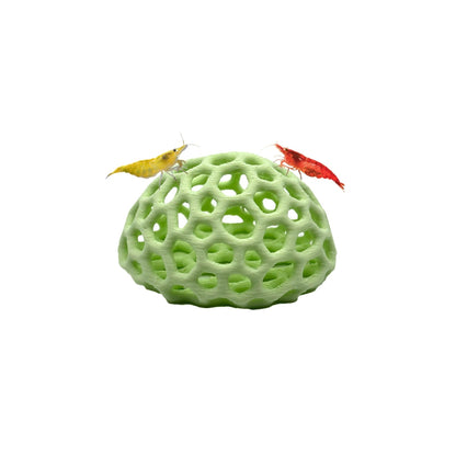 Shrimp Dome Hide – Colorful Aquarium Cave - Wild Pet Supply