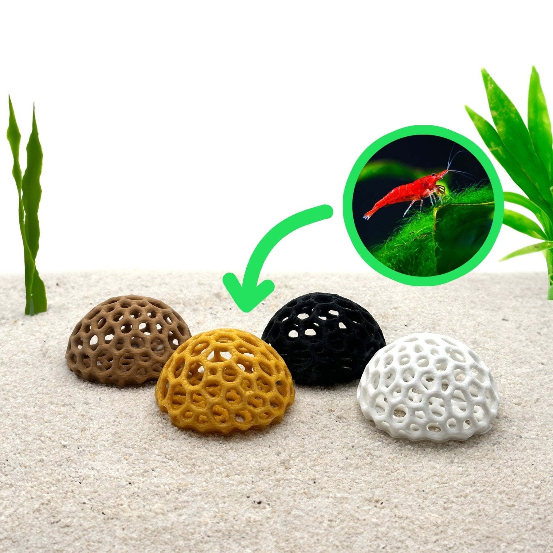 Shrimp Dome Hide – Natural Breeding Cave - Wild Pet Supply