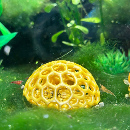 Shrimp Dome Hide – Natural Breeding Cave - Wild Pet Supply