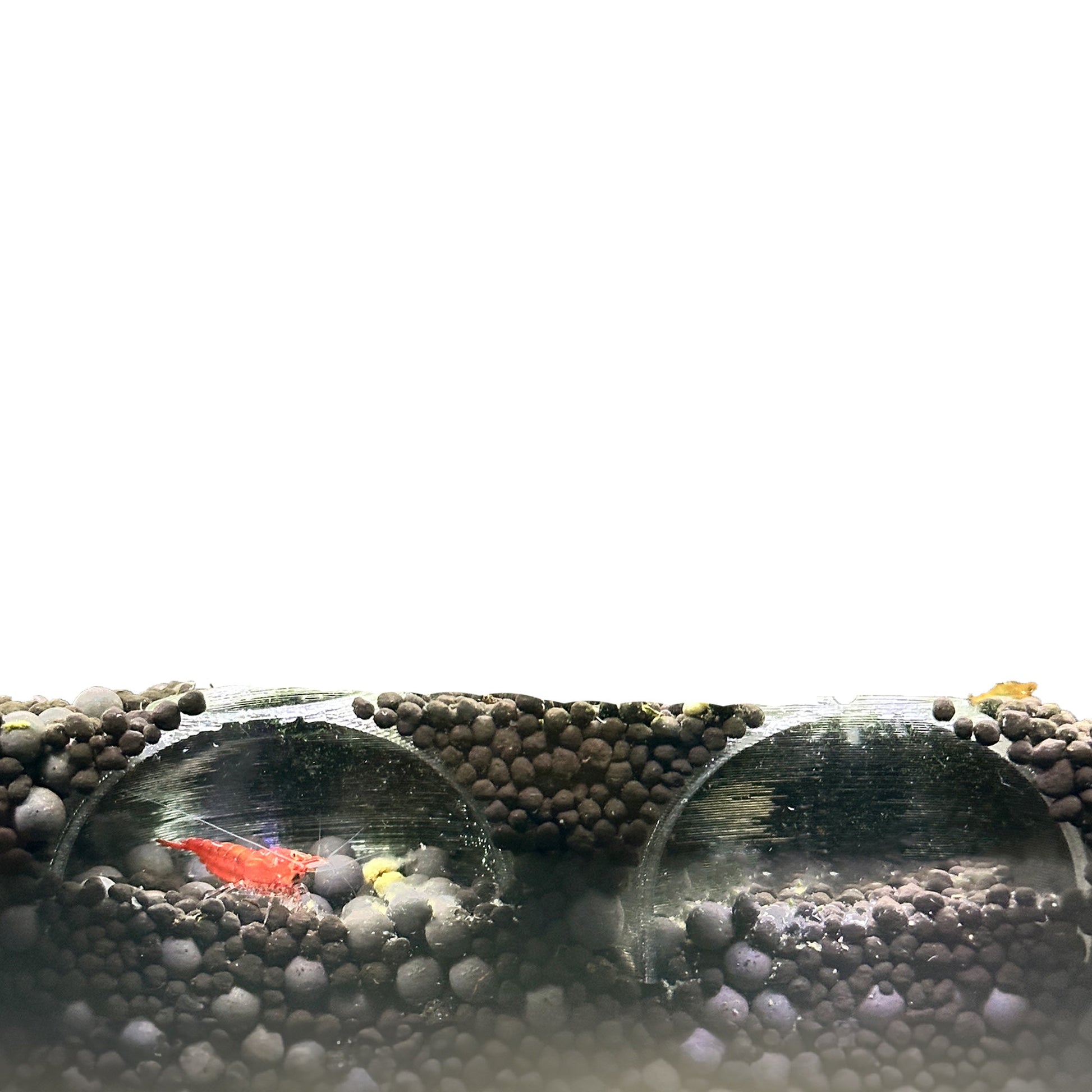 Shrimp Nano Cave - Aquarium Cave Tunnel - Fish Tank Decor | 2 Pack - Wild Pet Supply