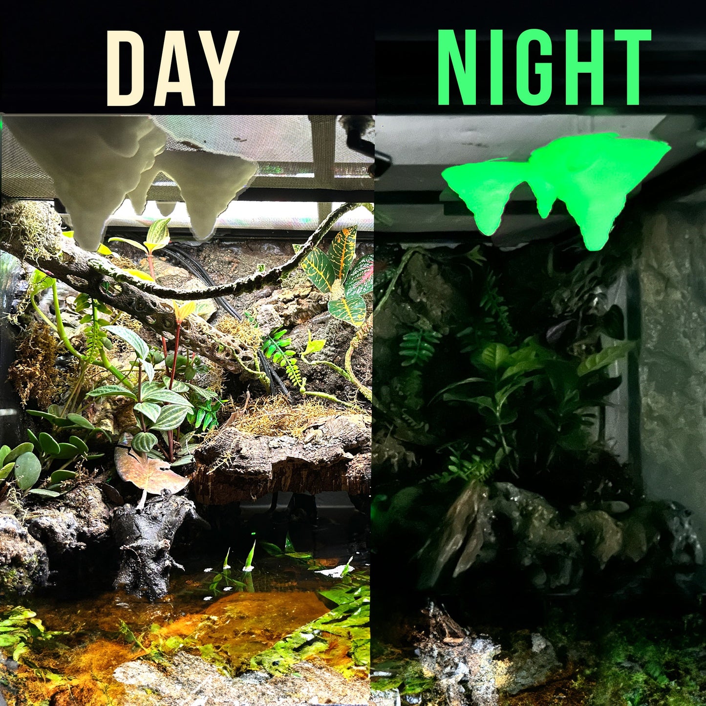 Stalactite Terrarium Decor Glow in the Dark | Gecko Tree Frog Decorations - Wild Pet Supply