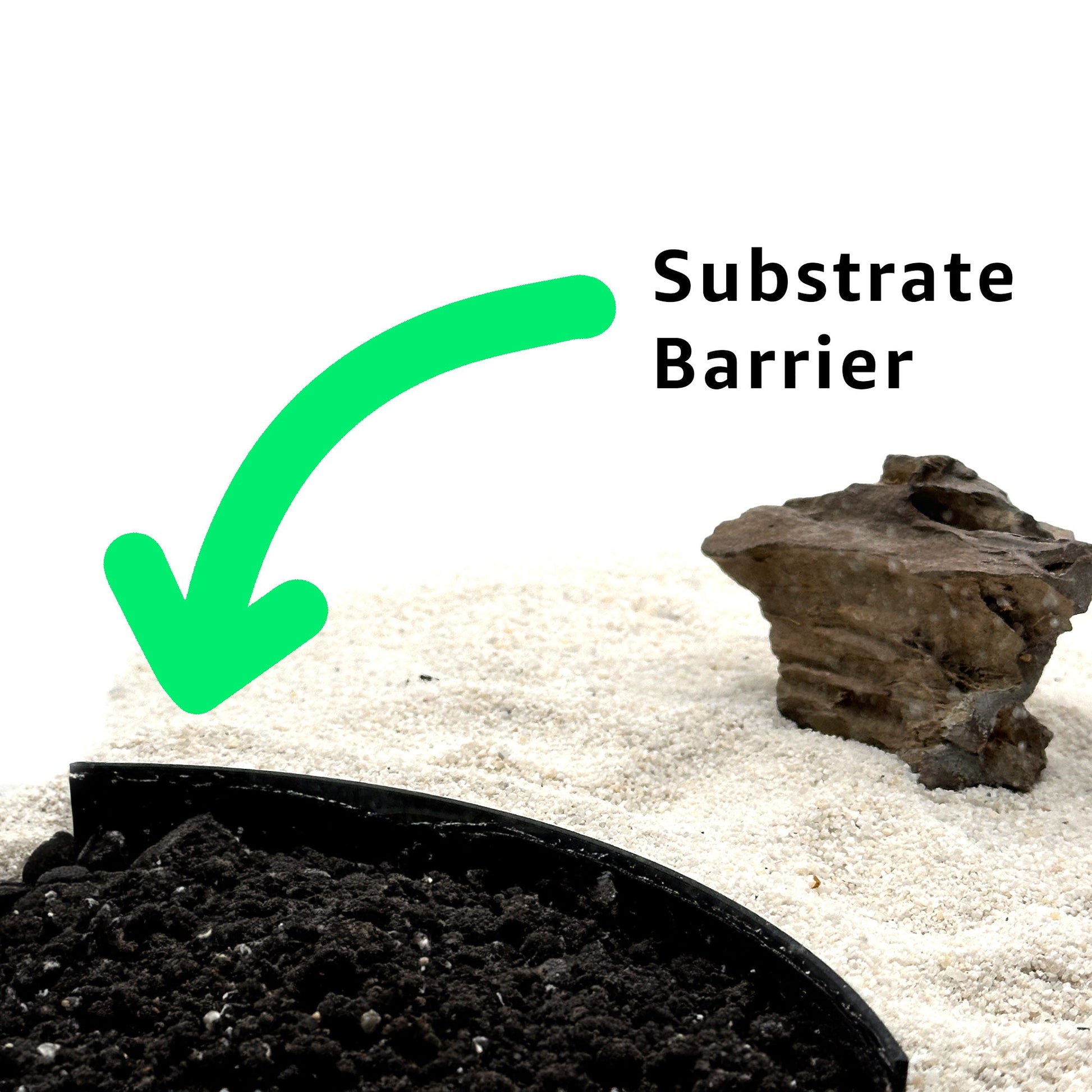 Substrate Guard For Aquairums - Wild Pet Supply
