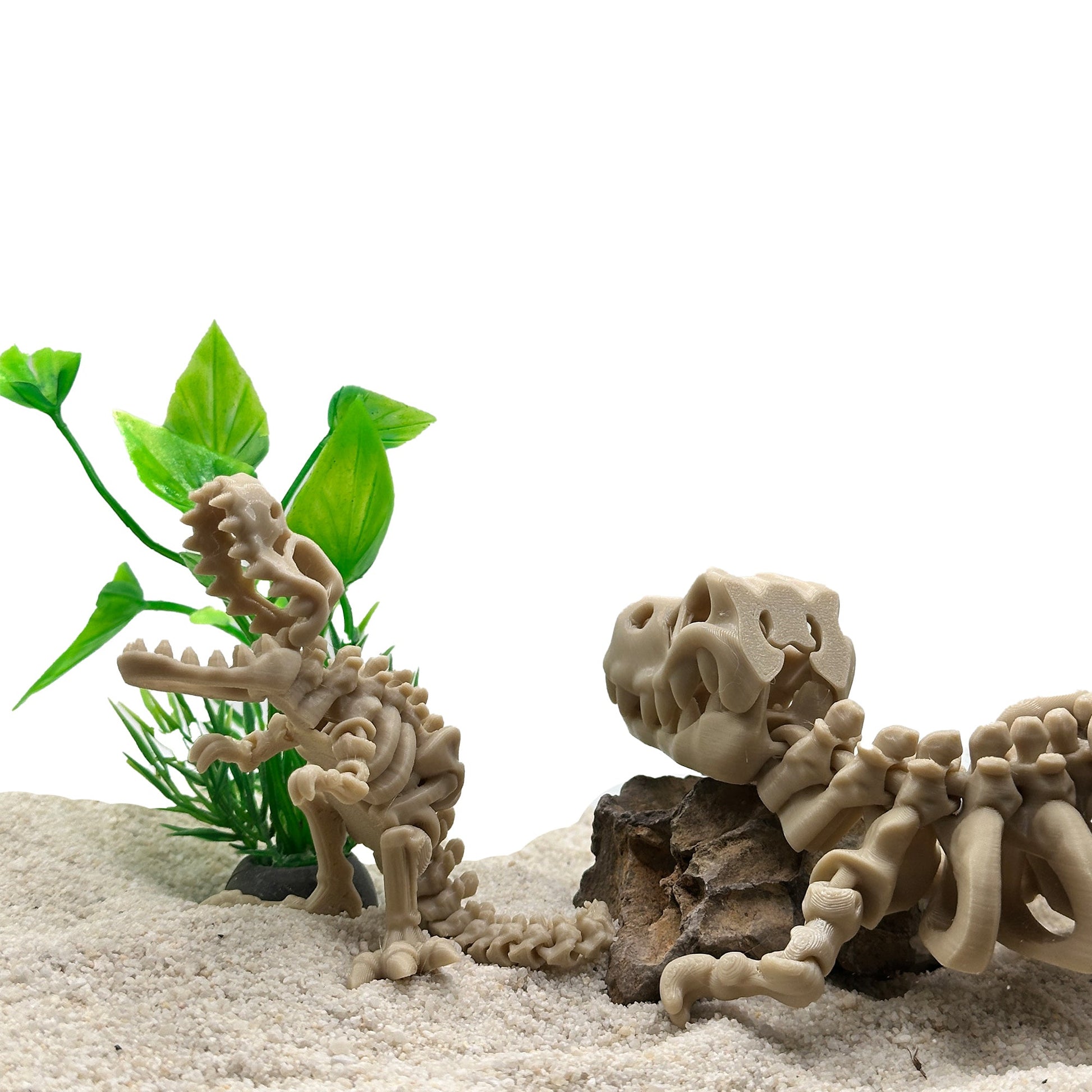 T-Rex Skeleton Decoration for Aquariums. Cave for Fish and Hideout for Shrimp Dinosaur Aquarium & Terrarium Decor - Wild Pet Supply