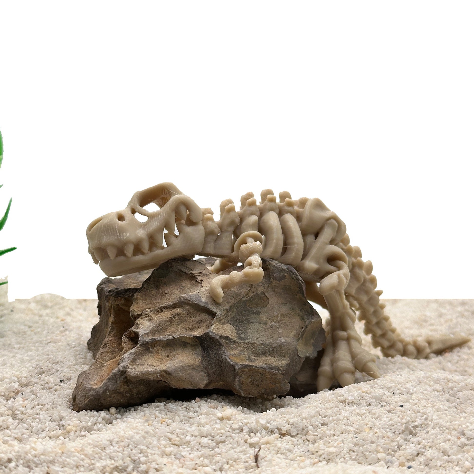 T-Rex Skeleton Decoration for Aquariums. Cave for Fish and Hideout for Shrimp Dinosaur Aquarium & Terrarium Decor - Wild Pet Supply