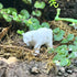 Terrarium Polar Bear Nano Decor Reptile Safe | Random 1pack - Wild Pet Supply