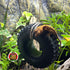 Terrarium Reptile Tire Swing Decor - Tire Swing Reptile Terrarium Decor - Crested Gecko Terrarium Decor - Wild Pet Supply