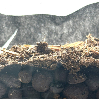 Terrarium Substrate Liner – 24x18 Mesh Sheet - Wild Pet Supply