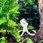 Woolly Mammoth Terrarium Decor - Crested Gecko Decor - Wild Pet Supply